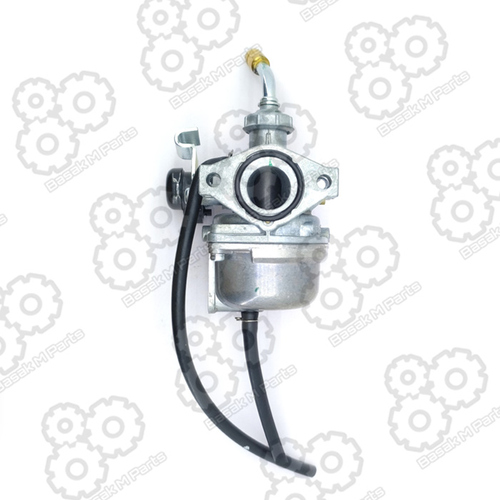 CARBURETTOR PLATINA 100